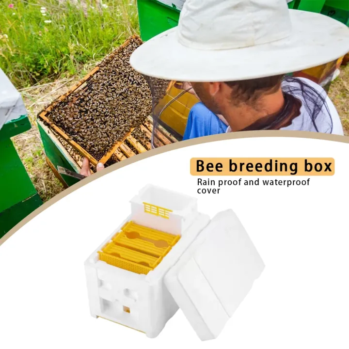 Beehive%20Beekeeping%20Box%20Tools%20For%20Beekeeper%20Supplies%20Bee%20Hive%20Frame%20Holder%20Equipment%20Kit%20Beehive%20Pollination%20King%20Bees%20Hive%20Box%20-%20Image%206