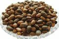 croton tiglium,Jamalghota 50gm(premium quality of A&AA store). 