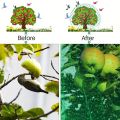 Garden Netting Green Woven Mesh Protect Plants Fruits Flowers Trees Stretch Fencing Durable Net Stops Birds Deer Animals. 