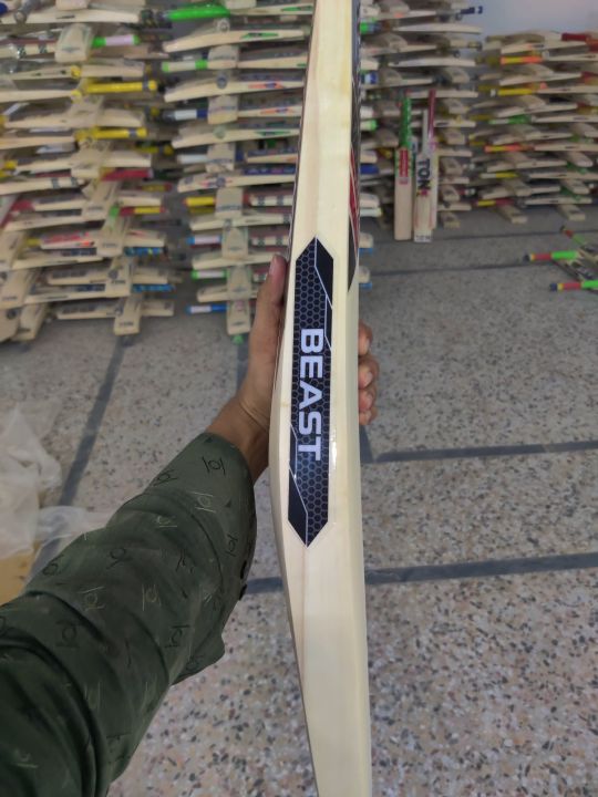 Beast%20Hard%20Ball%20Bat%20-%20Image%203