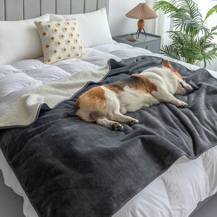 Premium%20Waterproof%20Cat%20&%20Dog%20Blanket,%20Puppy%20Blanket,%20Waterproof%20Dog%20Blanket,%20Blankets%20for%20Dogs,%20Cat%20Blanket%20Slate%20-%20Image%202