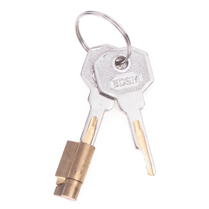 Trailer%20Coupling%20Hitch%20Lock%20Insertable%20Security%20For%20Pressed%20Coupler%20Heads%20Camper%20Components%20Caravan%20RV%20Parts%20Accessories%20-%20Image%202