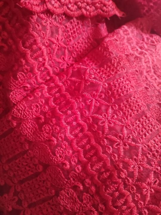 Red Gorgeous Saree For This Wedding Season