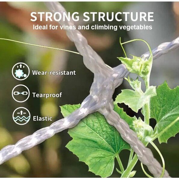 2*100m%20vegetable%20netting,%20vegetable%20trellis%20netting,%20nylon%20mesh%20netting,%20melon%20netting,%20cucumber%20planting%20netting%20-%20Image%205