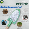 Perlite (Perlite), Planting Material, Imported High Grade, Air Purifying Plants, Prevents Rotten Roots, Plants That People Like in This Era, Auspicious Plants, Indoor Plants.. 