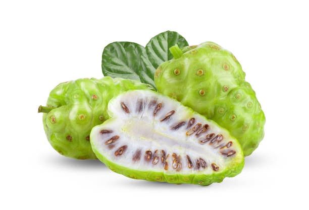 Ahu%20plant%20noni%20fruit%20plant%20-%20Image%203