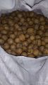 Desi Walnuts Giri 500G | White Giri Dried | Zaiqa Daar. 