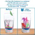 Water growing creatures -animals fruit sea creatures. 