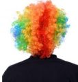 Adult Multi Coloured Rainbow Circus Curly Afro Clown Wig Halloween Fancy Dress. 
