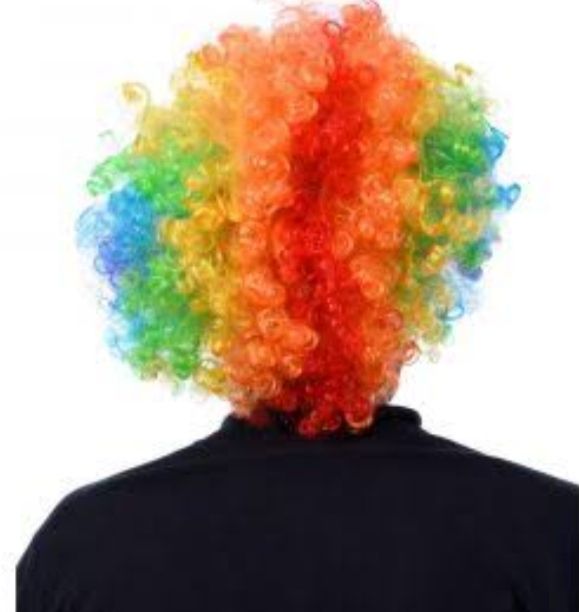 Adult%20Multi%20Coloured%20Rainbow%20Circus%20Curly%20Afro%20Clown%20Wig%20Halloween%20Fancy%20Dress%20-%20Image%203