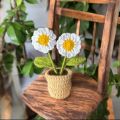 Crochet Daisy Flower Mini Pot   /Crochet Flowers. 