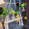 2/4/6/8 Pack Wall Hanging Glass Terrari2um - Self-Watering Hydroponic Planter for Home Office Decor, Handmade Round Crystal Vase. 