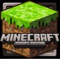 Minecraft pe and java any version online. 