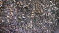 Big Parrots Feed ( raw parrot food) 1kg. 