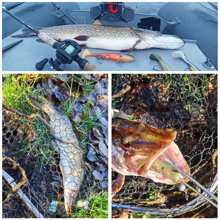 Spinpoler%20Bombshad%20Square%20Tail%20Swimbait%20Shad%20Pike%20Lures%2014cm%2018cm%20Printing%20Silicone%20Artificial%20For%20Big%20Catch%20Sea%20Fishing%20Wobbler%20-%20Image%207