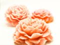 Rose Special Scented Candles. 