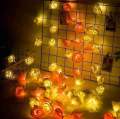 80 psc  Led Rose Flash String Fairy Light (25 Feet Length). 
