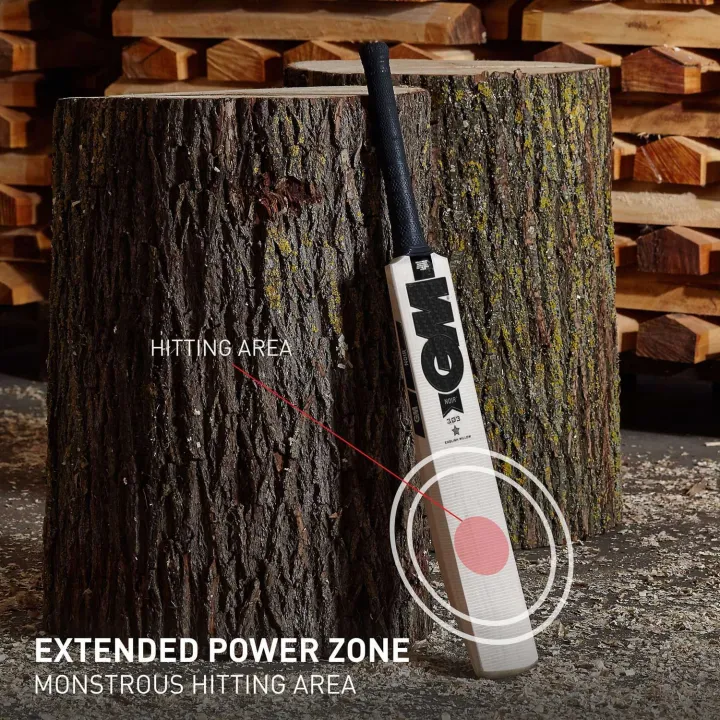 GM%20kashmiri%20Wilow%20Hard%20Ball%20Cricket%20Bat%20black%20-%20Image%202