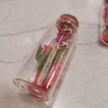 Valentine Love Message Bottle. 