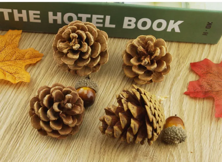 Christmas decoration pine cones dry pine cones
