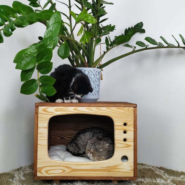 Old tv cat bed, Wooden cat house, Cat cube house tv cat bed, Modern cat house, Vintage tv cat bed Cat house indoor, Cat gift ideas cat house