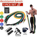 11 Pcs Power Resistance Band Set for Workout & Exercise | Resistance Bands for Men & Women | Resistance Band for Pull Up | Fitness Resistance Bands Set for Home Gym | Latex Exercise Bands for Full Body Training. 