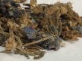 Ustukhuddus • Ustekhadoos • Dry French Lavender • 25 gm. 