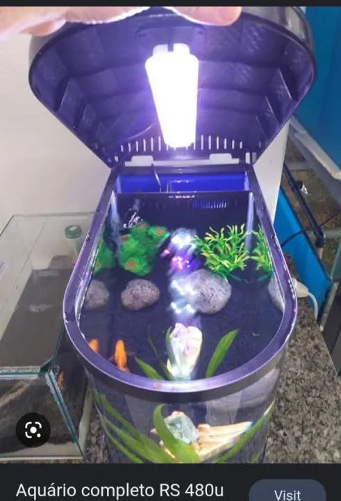 imported%20Aquarium%20(480%20U)%20-%20Image%203