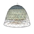 Aseel Murgh Tokra Cage for Aseel Murgh Hens Poultry Chicken. 