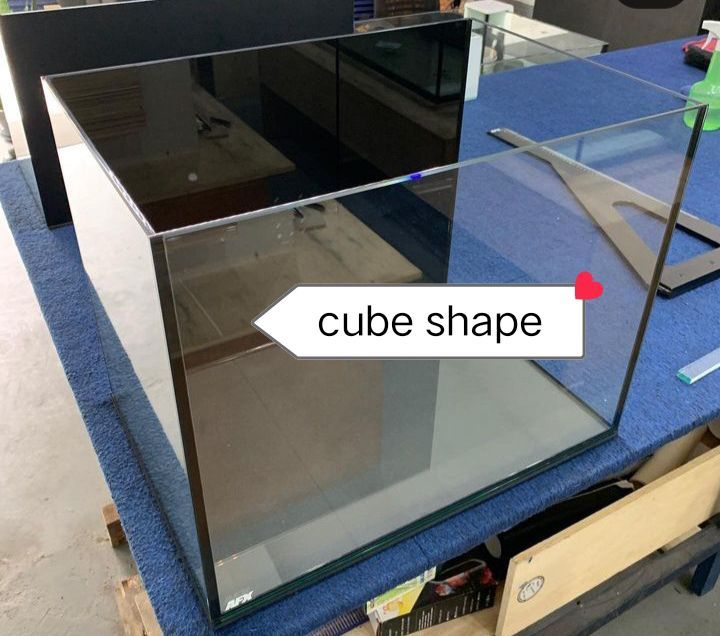Cube shape Aquarium