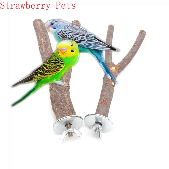 Natural%20Wood%20Pet%20Parrot%20Raw%20Wood%20Fork%20Tree%20Branch%20Stand%20Rack%20Squirrel%20Bird%20Hamster%20Branch%20Perches%20Chew%20Bite%20Toys%20Stick%20-%20Image%202