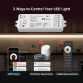 TUYA WiFi RF 2CH LED Controller DC 12V 24V Smart Dimmer With Push Dimming 4 Zone 2.4G Remote Controller for WW CW CCT LED strip. 