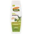 Palmer  Olive smooth and straight Shampoo 400ml Sulfate free. 