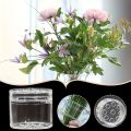 Invisible Spiral Vase Flower Arranger Reusable Spiral Bouquet Holder Stem Fixer Lightweight Planting Tool DIY Floral Art Acce. 