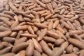 Fresh pine Nuts / (Chilgoza) With Shell (500 grams) Price In Pakistan. 
