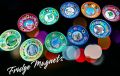 Pakistani Culture Monuments Fridge Magnets Set of 5 Vibrant Designs. 