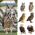 Hanging Bird Repellent Owl Bell Pendant Pastoral Orchard Bird Rustic Style Pendant Courtyard Decoration Bird repelling bell. 