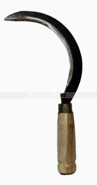 Nepali%20Hasiya%20-%20Image%202