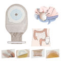 10Pcs Colostomy Bags Disposable Adhesive One Piece Drainable Ostomy Pouch Supplies for Ileostomy One Piece Colostomy Bags. 