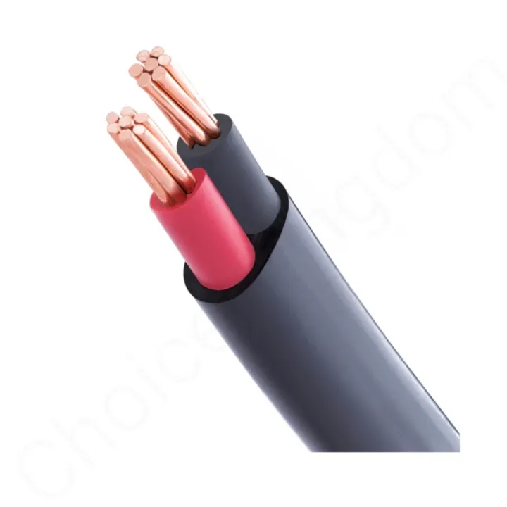 7/52%20Pure%20Copper%202%20Core%20wire%20Standard%20(10%20mm)%20-%20Image%202