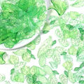 20-200pcs Green Transparent Leaves Acrylic Pendants Various Spacer Charms Beads For Jewelry Making Diy Necklace Bracelet Earring. 
