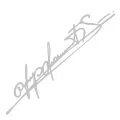 coins Car Sticker Personalized Schumacher Art Signature Lamp Eyebrows Die-Cut Auto Parts Decoration Vinyl Decals,30CM. 