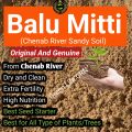 (5 Kg and 10 kg pack) Balu Mitti, Chenab River Balu Mitti, Bhalu, bhal soil, sandy soil, High nutrition and fertility, best for all types of plants, best seeds starter soil. 