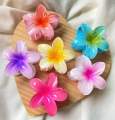 Viral Flower Catcher Buydontbye Hairclaw Korean Fashion For Girls & Women Hair Accessories. 