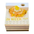 Tree Desk Calendar With LED Lights 2025 Calendar Memo Pad Creative Desk Calendar DIY Notes Notepad 3D Art Calendar Paper Carving. 