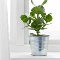(B). IKEA SOCKER Plant Pot, In/Outdoor Galvanised, 12 Cm. 