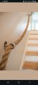 jute rope 16mm thick, for making decorations, swings and  craft uses. 