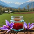 Kashmiri Saffron - The Crown Jewel of Spices. 