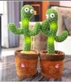 Dancing Cactus Singing Interactive  Toy for Kids - Educational Musical Learning Instrument. 