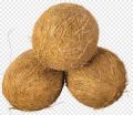 Pack Of 3 Fresh Coconut With Water.. 
